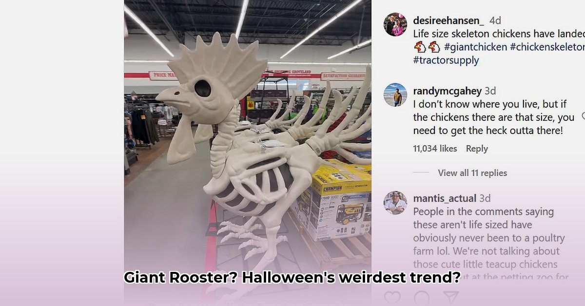6-foot-rooster-tractor-supply